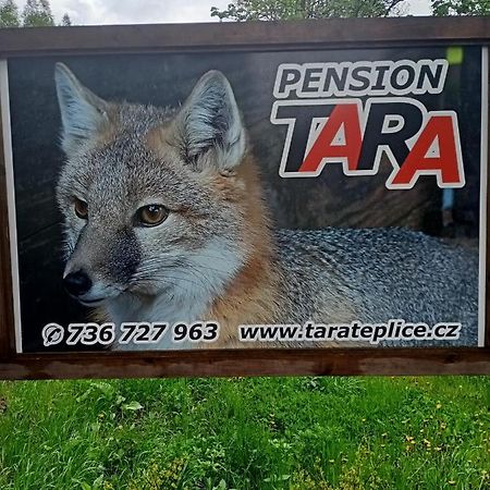 Pension Tara Teplice nad Metují Kültér fotó